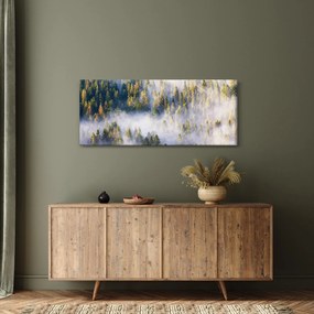 Obraz stromov v hmle (120x50 cm)