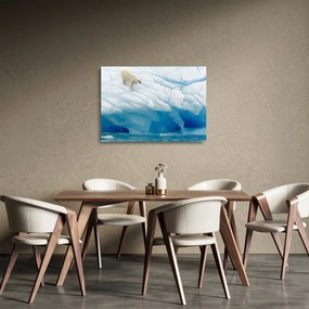 Sklenený obraz - Polárny medveď (70x50 cm)
