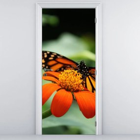 Fototapeta na dvere - Motýľ na kvetine (95x205cm)
