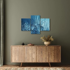 Obraz - Kvapky rosy (90x60 cm)