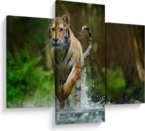 Obraz bežiaceho tigra (90x60 cm)