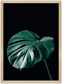 Plagát Dark Monstera