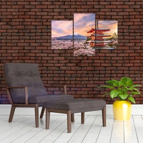 Obraz - Fuji (90x60 cm)