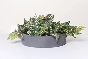 Miska na dekorácie CIRCULO, sklolaminát, Ø 40 cm, sivá