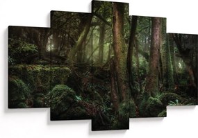 Obraz - Tajomný les (150x105 cm)