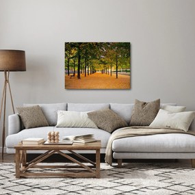Obraz aleje jesenných stromov (70x50 cm)