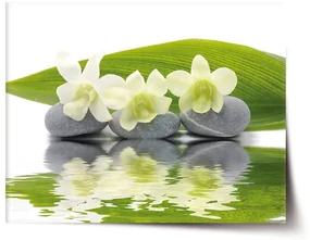 Sablio Plagát Biela orchidea - 90x60 cm