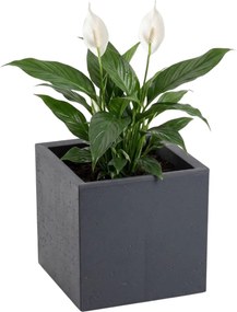 Sada 2 ks květináčů BETONIQUE 30x30/30x60 cm - výber z 4 prevedení