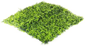 Umelý živý plot Hawaj Buxus | stena 100 x 100 cm
