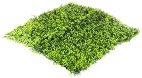 Umelý živý plot Hawaj Buxus | stena 100 x 100 cm