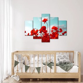 Obraz poľa s jasne červenými kvetmi (150x105 cm)