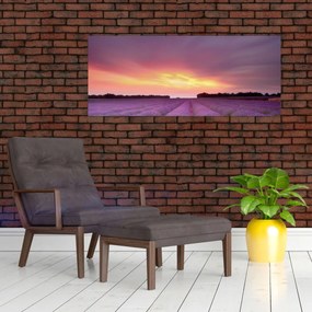 Obraz - Levanduľové pole (120x50 cm)
