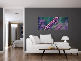 Obraz fialovej kvetiny (120x50 cm)