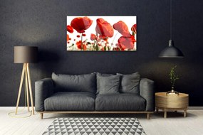 Obraz na skle Tulipány kvety 120x60 cm