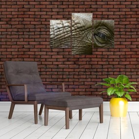 Obraz - Detailné fotografie starého slonieho oka (90x60 cm)