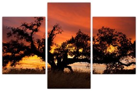 Strom v krajině - obraz