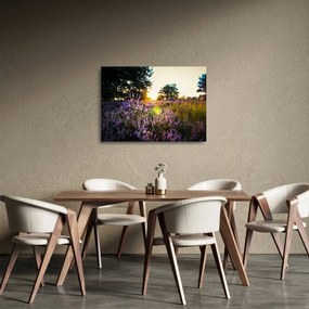 Sklenený obraz poľa levanduľou (70x50 cm)