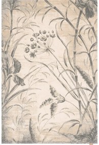 Krémovobiely vlnený koberec 300x400 cm Botany – Agnella