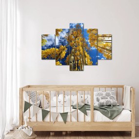 Obraz - Aspen (150x105 cm)