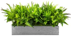 Flowerpot insert Nature Pride