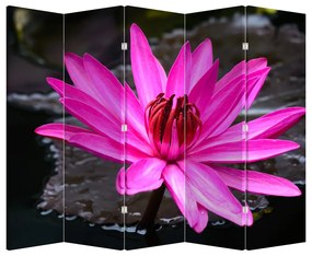 Paraván - Ružový kvet (210x170 cm)