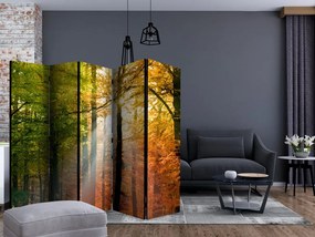Artgeist Paraván - Forest Colours [Room Dividers]