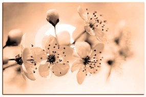 Obraz na plátne - Malé kvety na vetve 1173FA (60x40 cm)