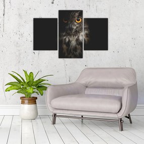 Obraz sovy (90x60 cm)