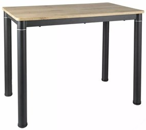 Jídelní stůl Damar 100 cm dub artisan/černý