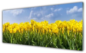 Obraz plexi Tulipány kvety rastlina 125x50 cm