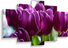 Obraz tulipánov (150x105 cm)
