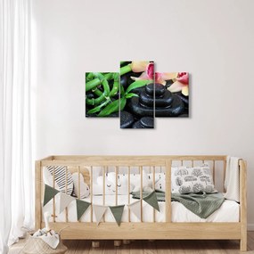 Obraz - Kamene a orchidey (90x60 cm)