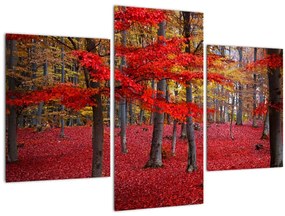 Obraz - Červený les (90x60 cm)