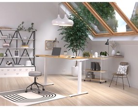 Pracovný stôl s elektricky nastaviteľnou výškou s doskou v dekore duba 80x160 cm Jet – Germania