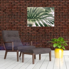 Obraz - List monštier (70x50 cm)