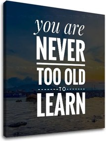 Motivačný obraz na stenu You are never too old