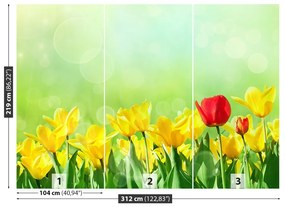 Fototapeta Vliesová Žlté tulipány 208x146 cm