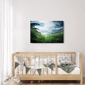Obraz - Seychelská jungle (90x60 cm)