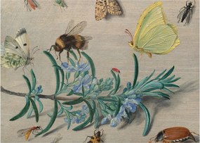 Obraz - Jan van Kessel the Elder, Insects and a Sprig of Rosemary, reprodukcia (70x50 cm)