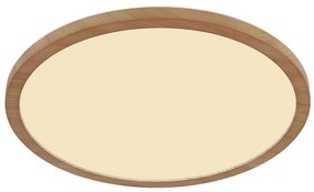 Stropné svietidlo prisadené Sapana 41562-18WW LED PL1