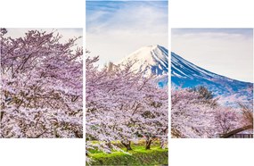 Obraz - Japonsko na jar (90x60 cm)