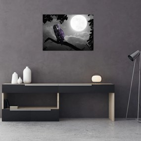 Sklenený obraz - Nočná sova, fialová sova (70x50 cm)