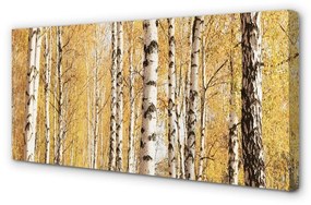 Obraz canvas jesenné stromy 140x70 cm