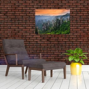Obraz - Národný lesný park Zhangjiajie (70x50 cm)