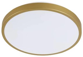 LED Stropné svietidlo KERN LED/15W/230V pr. 29 cm