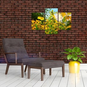 Obraz žltých kvetov (90x60 cm)