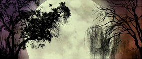 Obraz - Spln nad hladinou (120x50 cm)