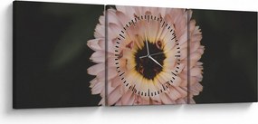 Obraz oranžovej kvetiny (s hodinami) (90x30 cm)