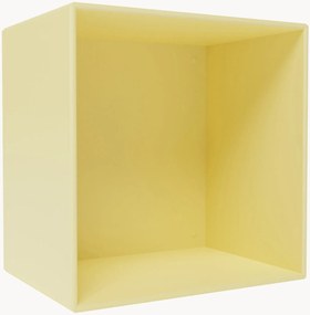Modul Mini 1001
