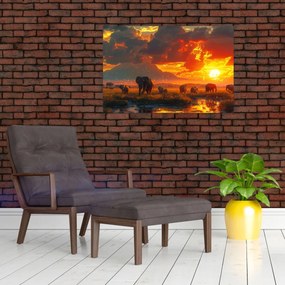 Obraz - Stádo slonov (90x60 cm)